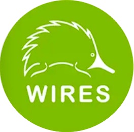 WIRES