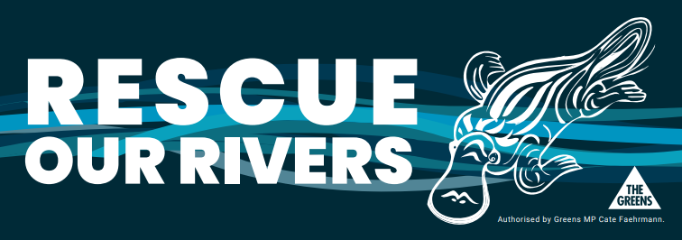 Rescue Our Rivers bumper sticker