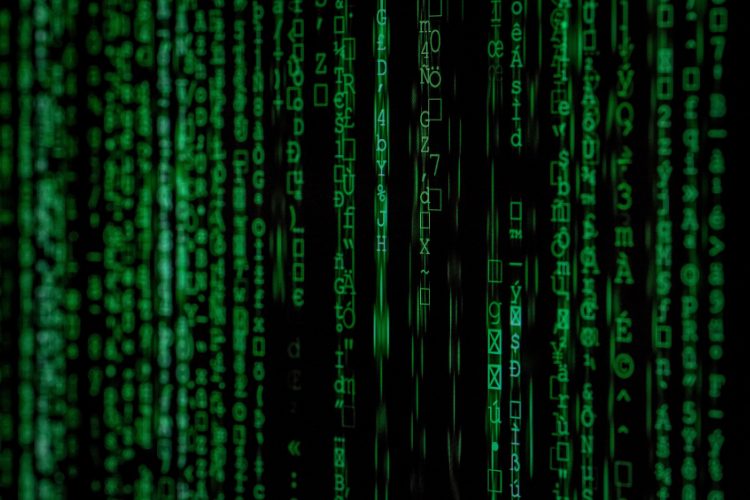 MEDIA RELEASE: GREENS CALL FOR IMMEDIATE AUDIT OF ALL NSW GOVERNMENT DATASETS AND WEBSITES IN WAKE OF OPENAI HACK