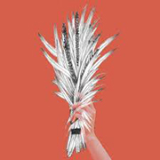 Blog Preview Image