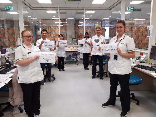 Photo of Wellington Hospital Dialysis Unit Nurses