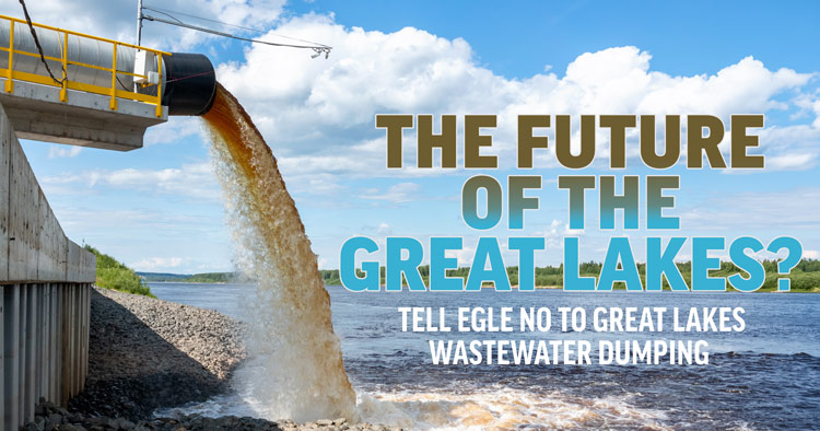 Tell EGLE: No Great Lakes Wastewater Dumping
