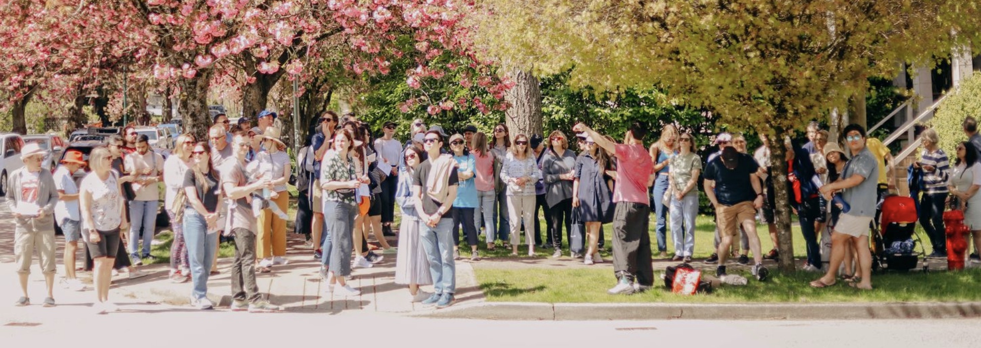 Neighbourhood Walking Tour