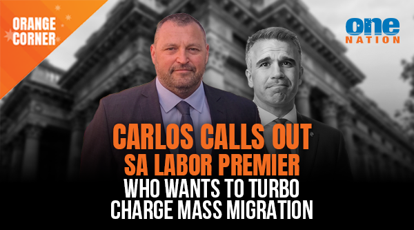 Labor hopelessly divided