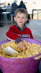 Recent Photos Gallery - 05