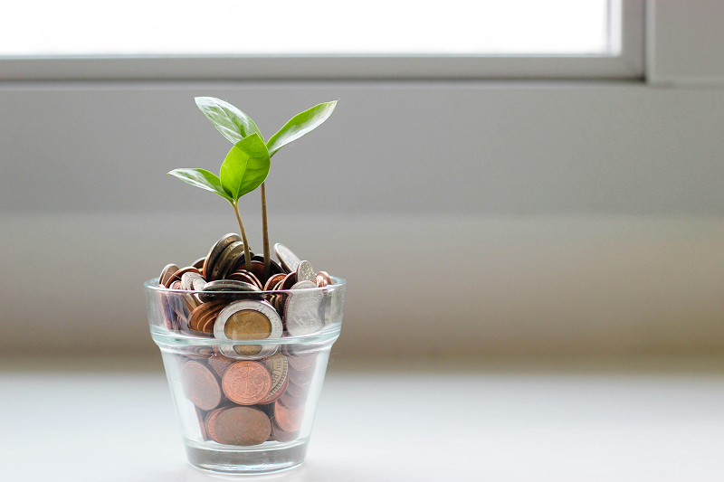 Sapling growing out of jar of coins