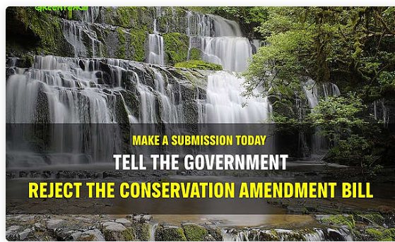 Make a submission today banner from Greenpeace