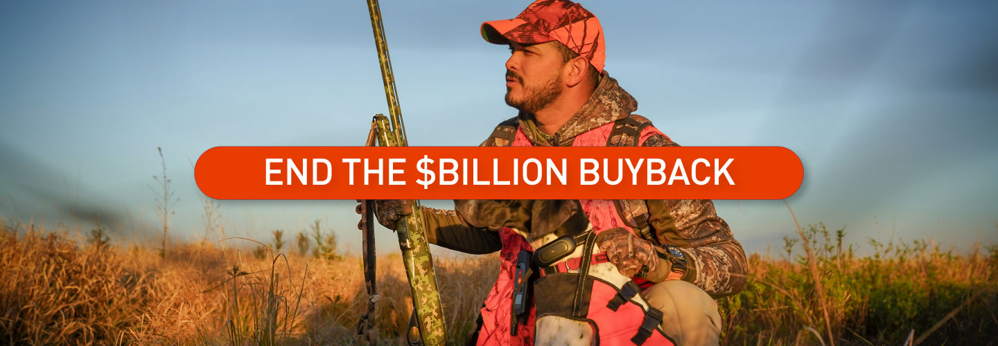 Let's Stop the Boondoggle