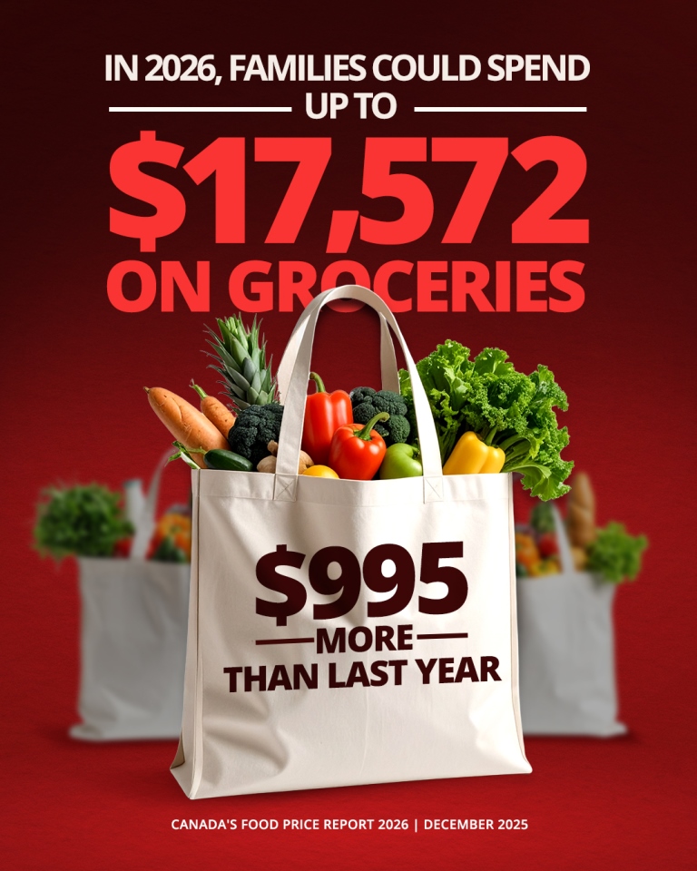 2026 Family Grocery Costs 2026 Family Grocery Costs