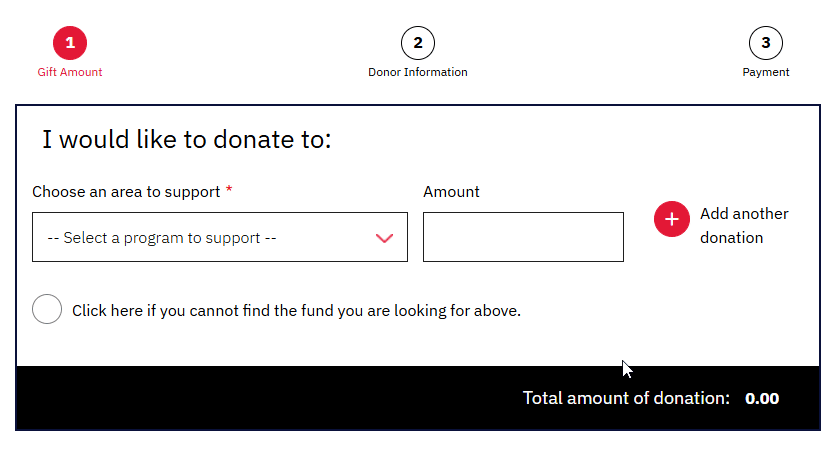 Making a donation on the York University website