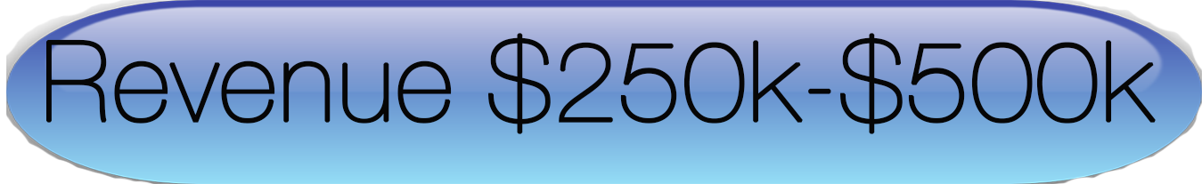 long_revenue_250k-500k.png