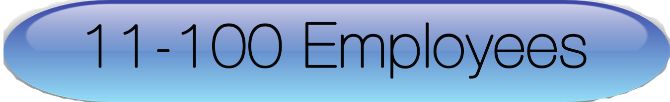 11_to_100_employees.png