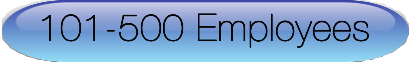 101_to_500_employees.png