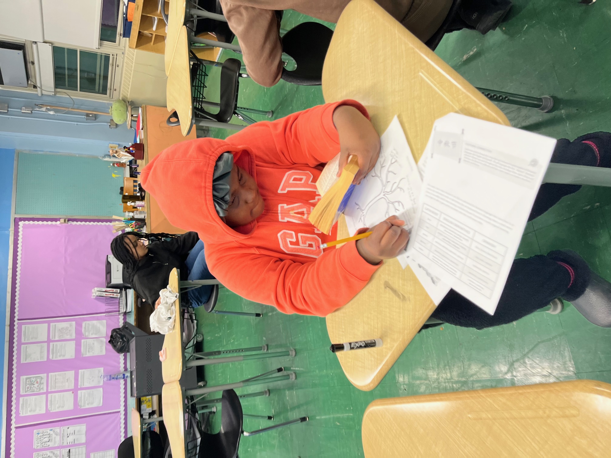 Latin at Mott Hall II