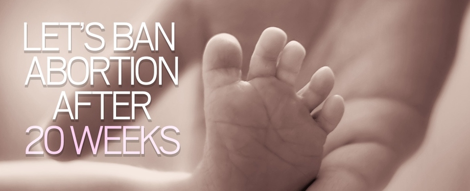 Let's_ban_abortion_after_20_weeks_banner.jpg