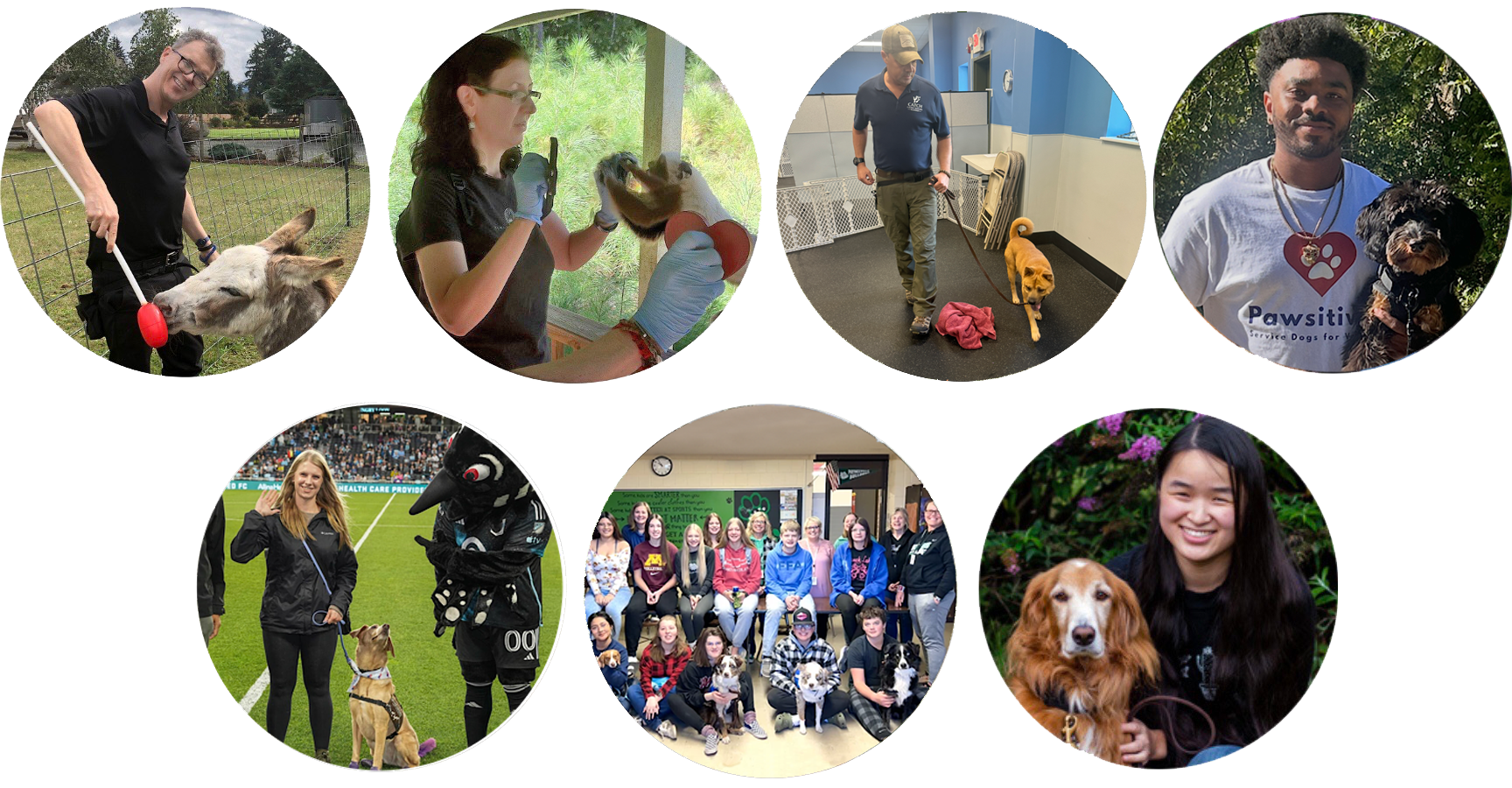 Who we are at Pawsitivity Service Dogs