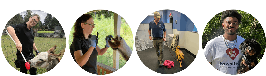 Who we are at Pawsitivity Service Dogs for Veterans