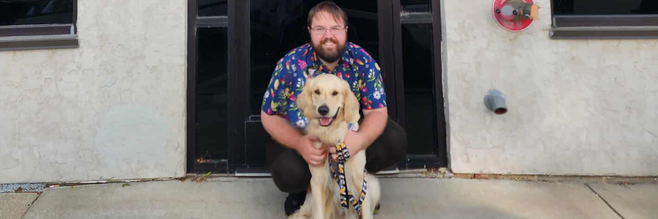 Pawsitivity Service Dogs