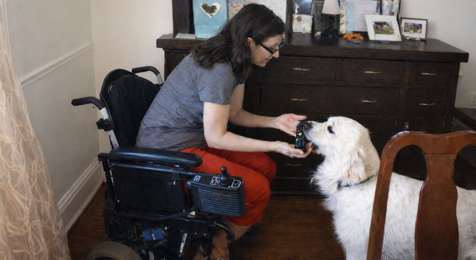 Teaching a service dog to pick up dropped objects