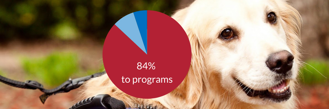 Pawsitivity Service Dogs