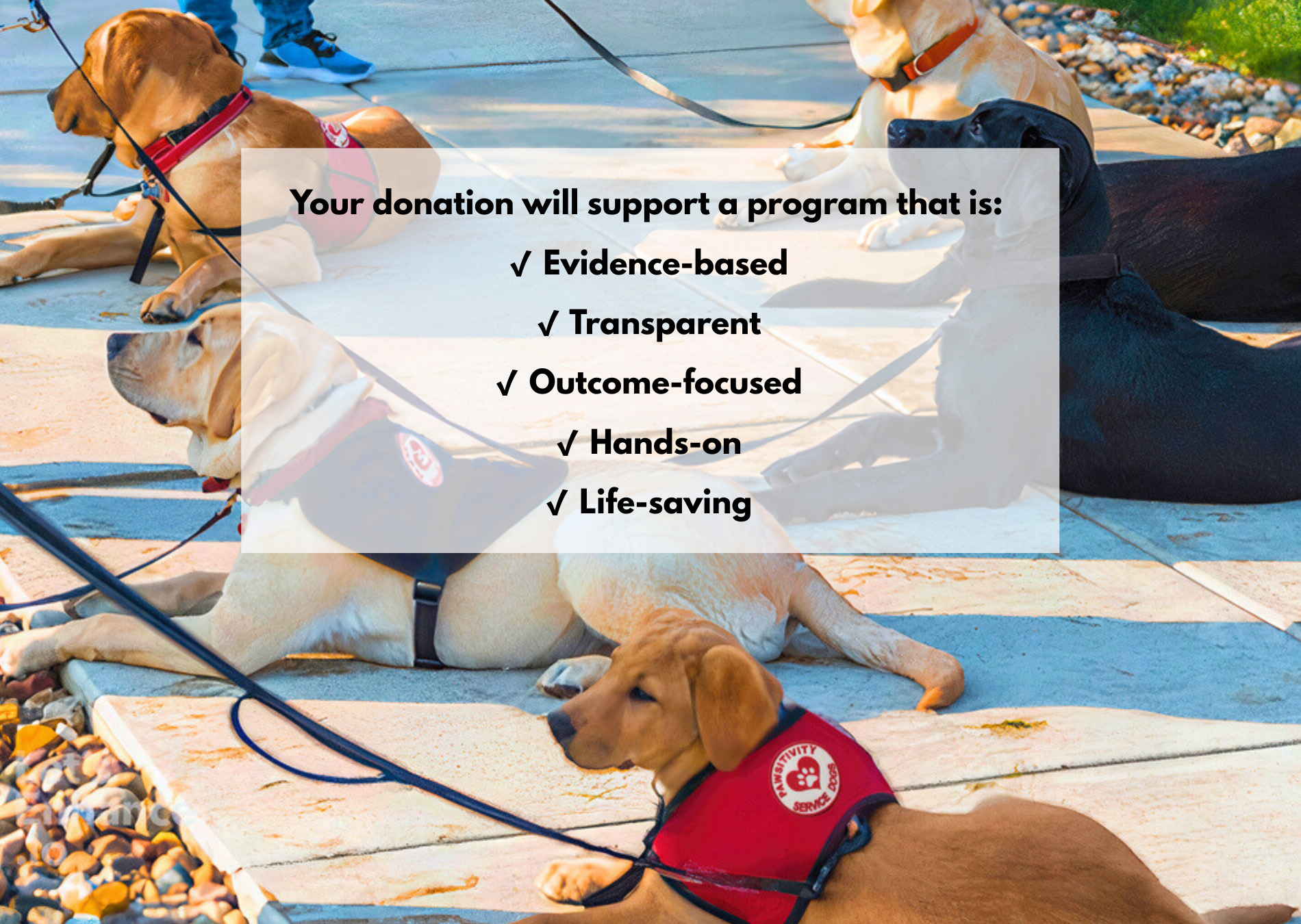 Your donation will support a program that is: ✔ Evidence-based & proven   ✔ Transparent   ✔ Outcome-focused   ✔ Hands-on   ✔ Life-saving