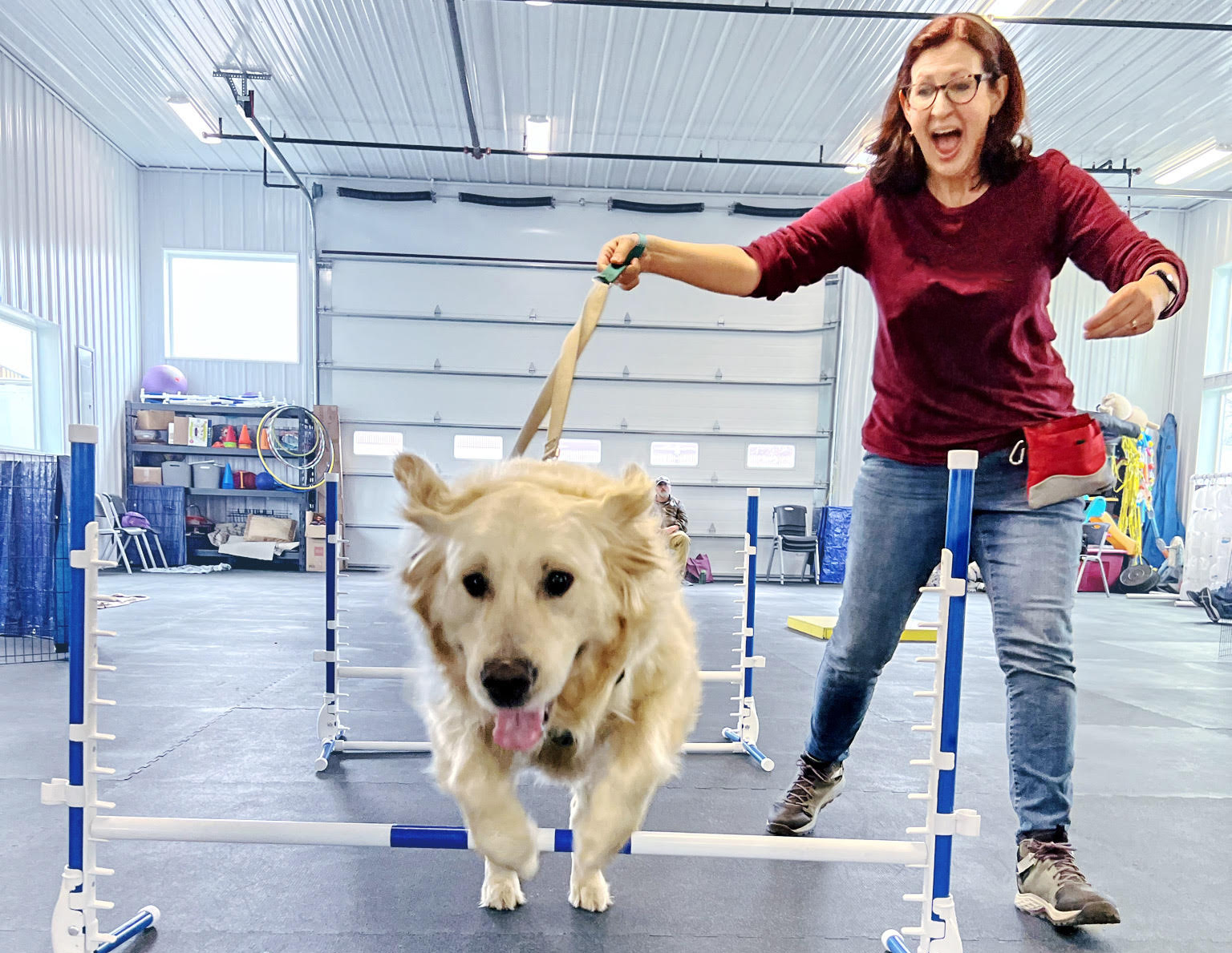 Pawsitivity Service Dogs