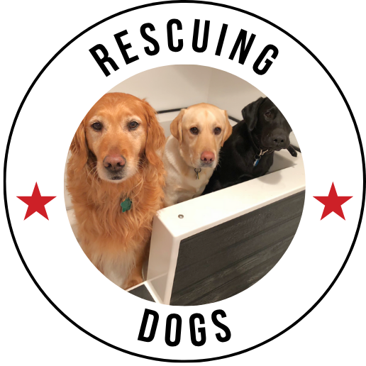 Rescue dogs