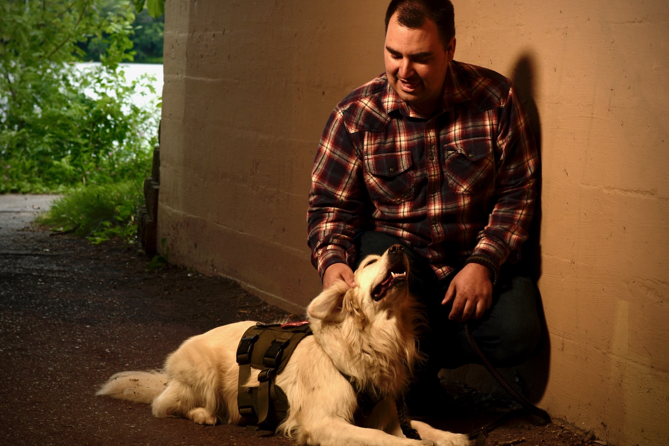 Service dog with a veteran outdoors in tunnel