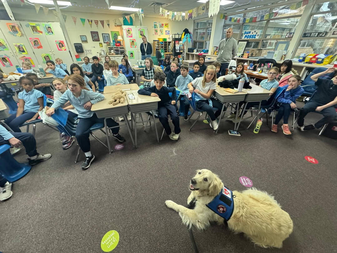 Goose demonstrates service dog tasks at local school