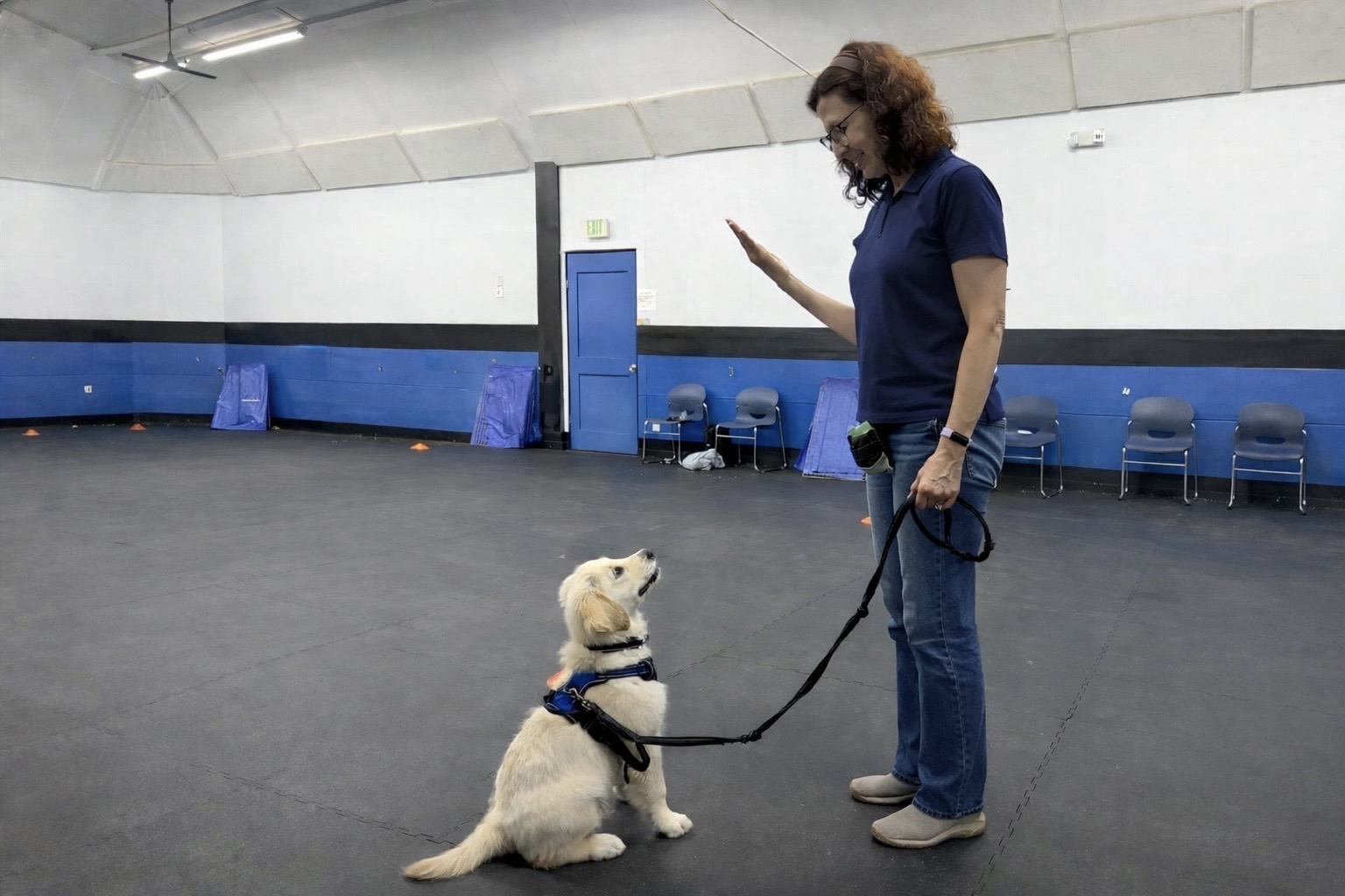 Pawsitivity Service Dogs