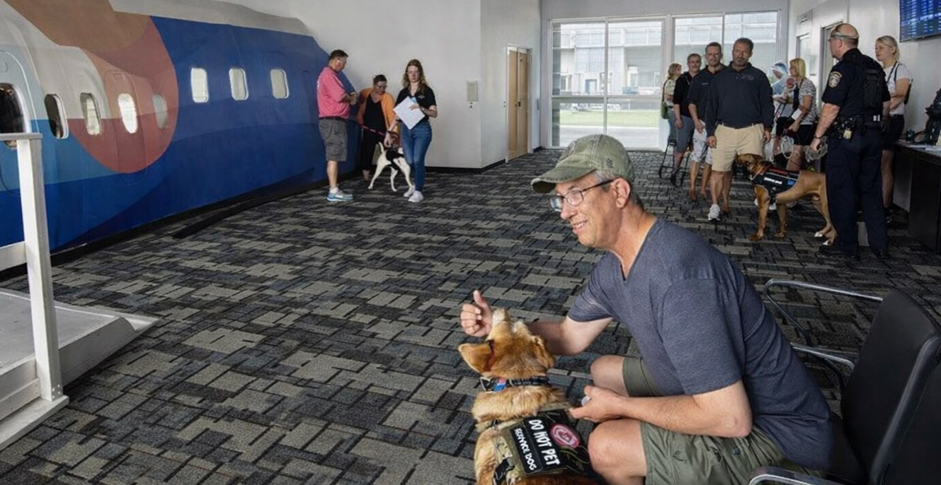 Pawsitivity Service Dogs