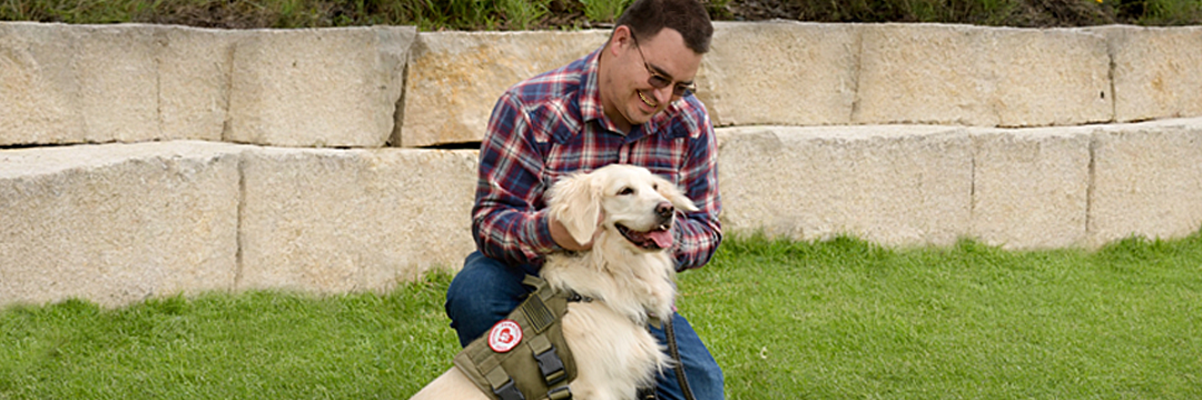 Pawsitivity Service Dogs