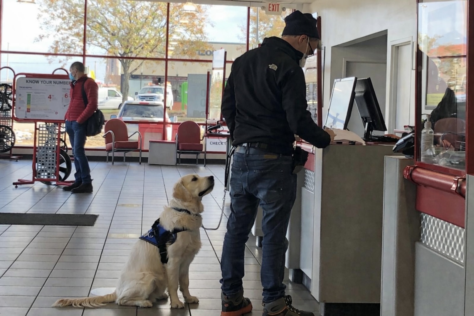 Service dog at tire store