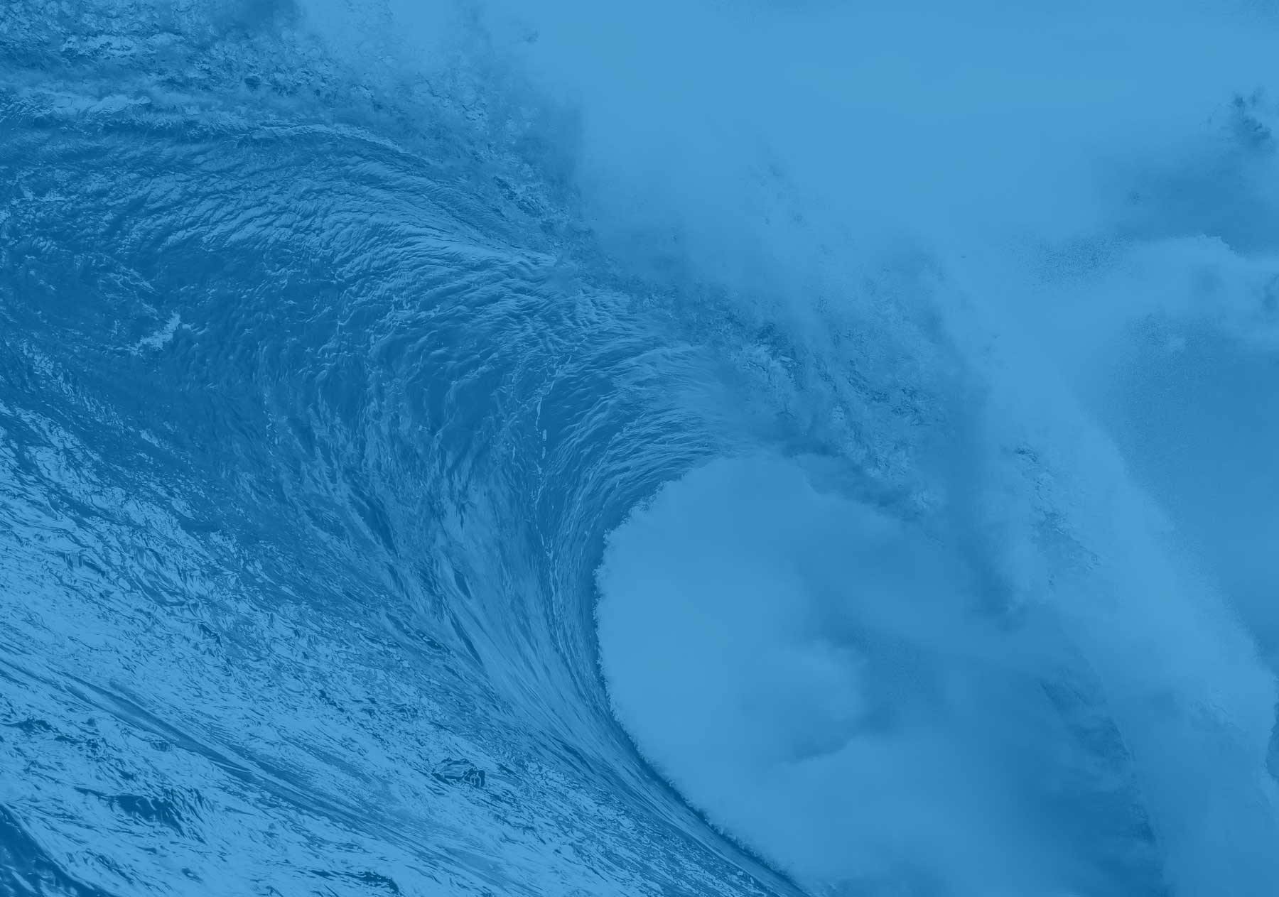 Join the Blue Wave!