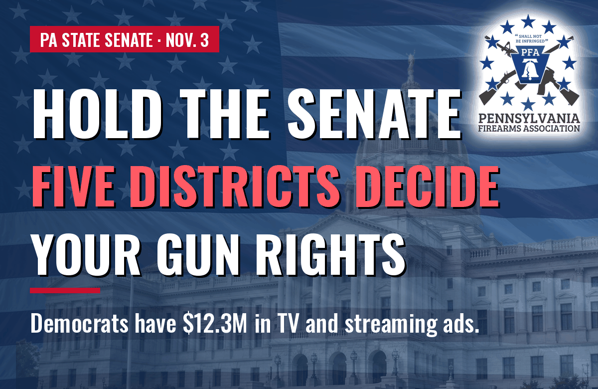 HOLD THE SENATE: FIVE DISTRICTS DECIDE YOUR GUN RIGHTS. Democrats have $12.3M in TV and streaming ads.