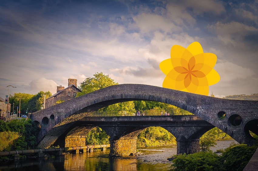 Pontypridd Town By-Election