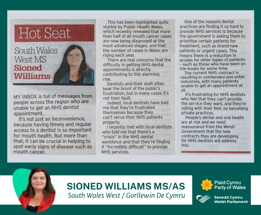 Erthygl Sioned Williams ar gyfer Glamorgan Gazette