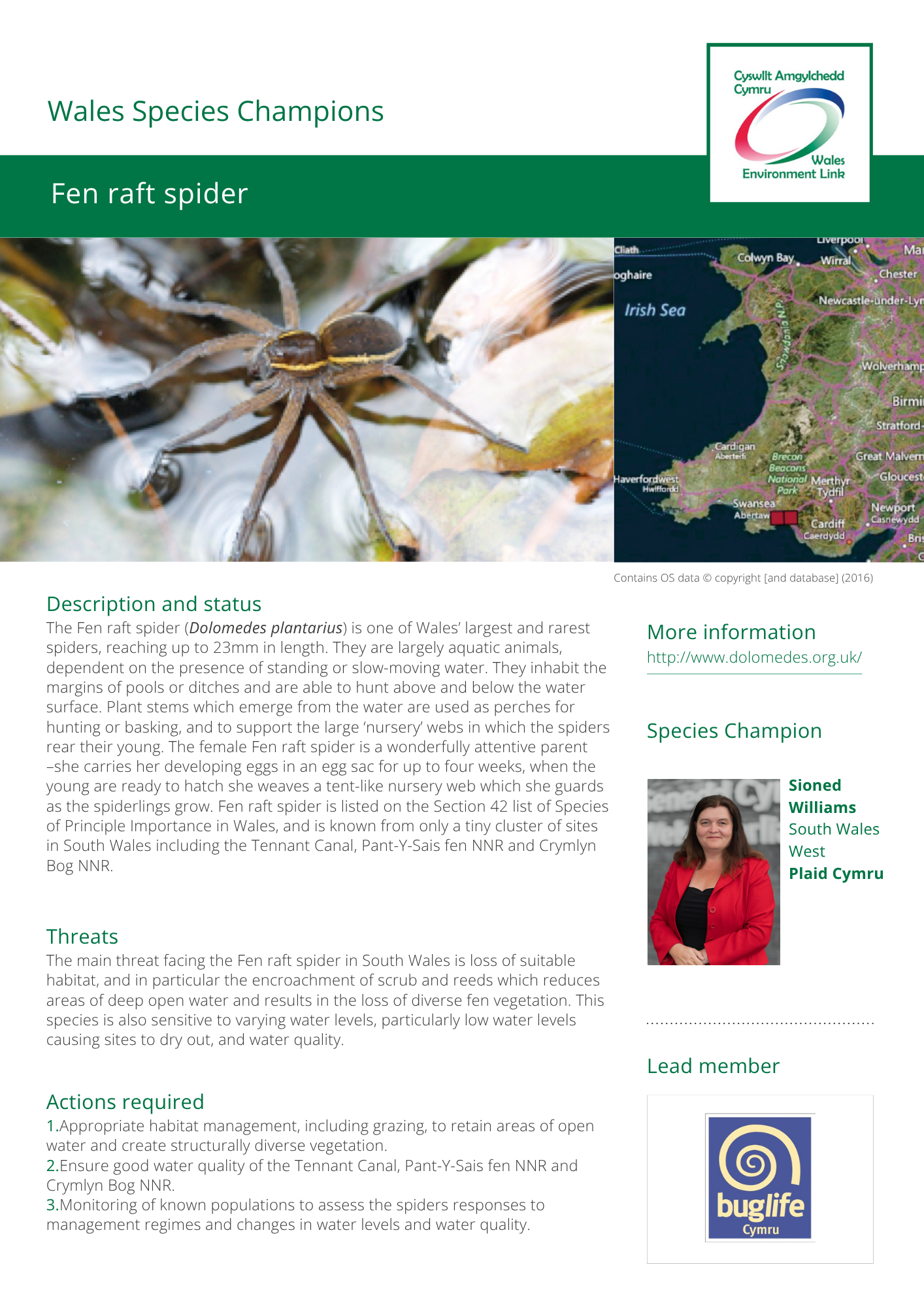 info sheet