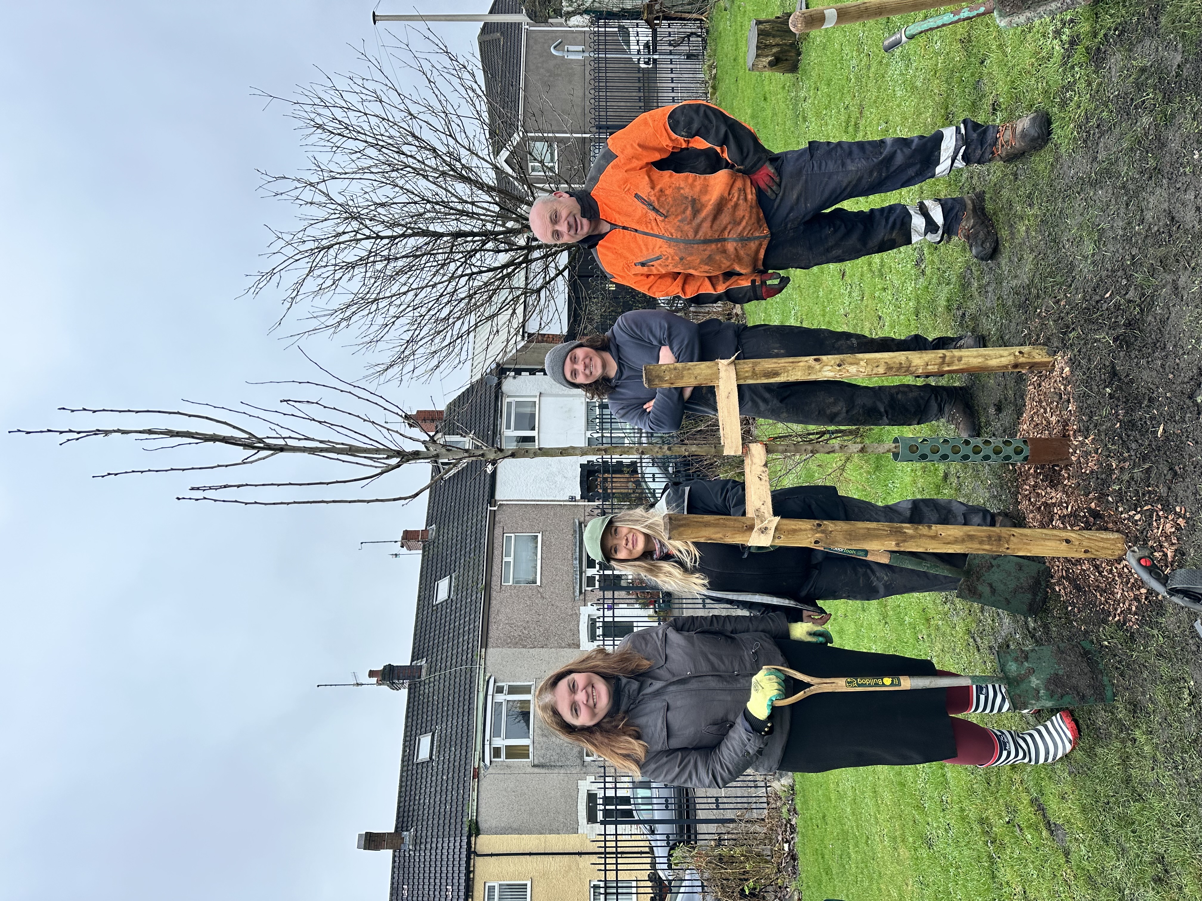 Sioned and volunteers net to a newly planted tree