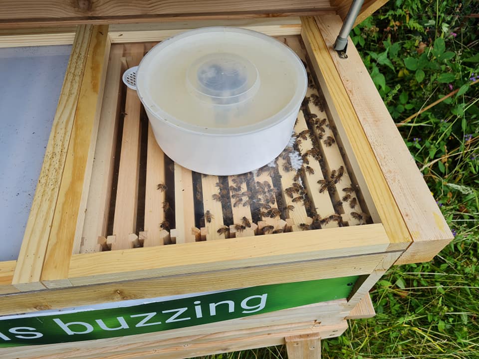 beehive