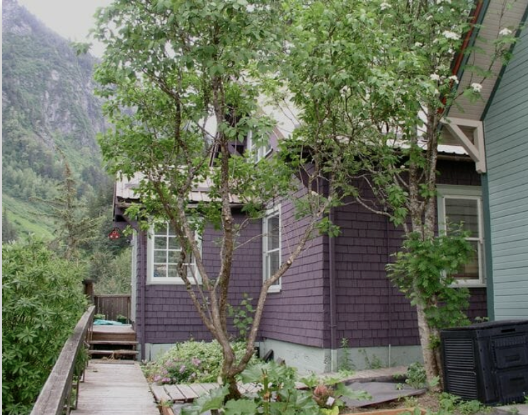 Norton House on Chicken RIdge