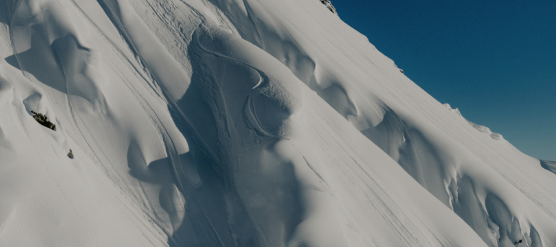 GIVE THE GIFT OF POW