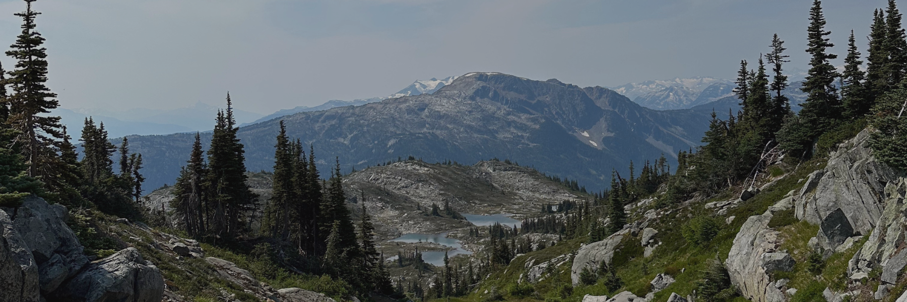 WHISTLER COMMUNITY ORGANIZER