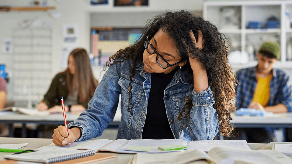 Studying will cost a lot more: a worrying increase in fees!