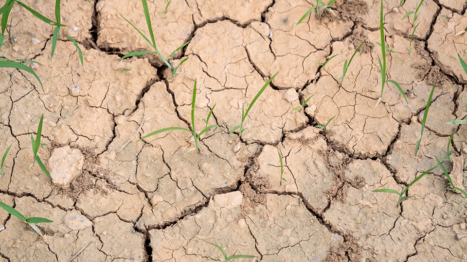 Moins de politiques pour le climat et la biodiversité, c’est + de dangers et + de frais.