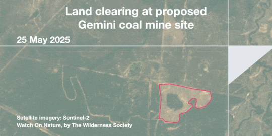 Animation switching between 2 satellite photos, 25 May 2025 and 9 July 2025, showing a large amount of land cleared on the site of Magnetic South's proposed Gemini coal mine
