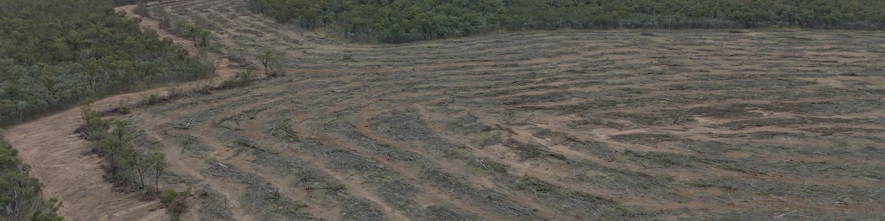 Drone footage of clearing at the site of Magnetic South's proposed Gemini coal mine