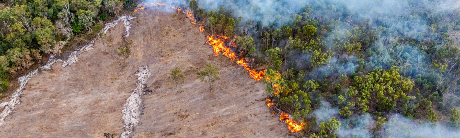The latest statewide landcover and trees study (SLATS) report released by the Queensland Government shows that 332,015ha has been cleared in the latest reporting period, a 3% increase from the previous year's figures