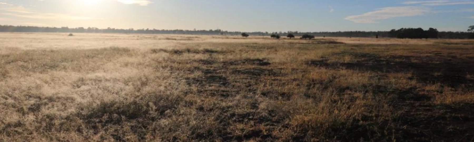 An abandoned coal borehole leaking the equivalent of 10,000 cars of methane pollution is a sign of a much bigger problem within the Queensland coal industry that the Crisafulli Government needs to fix