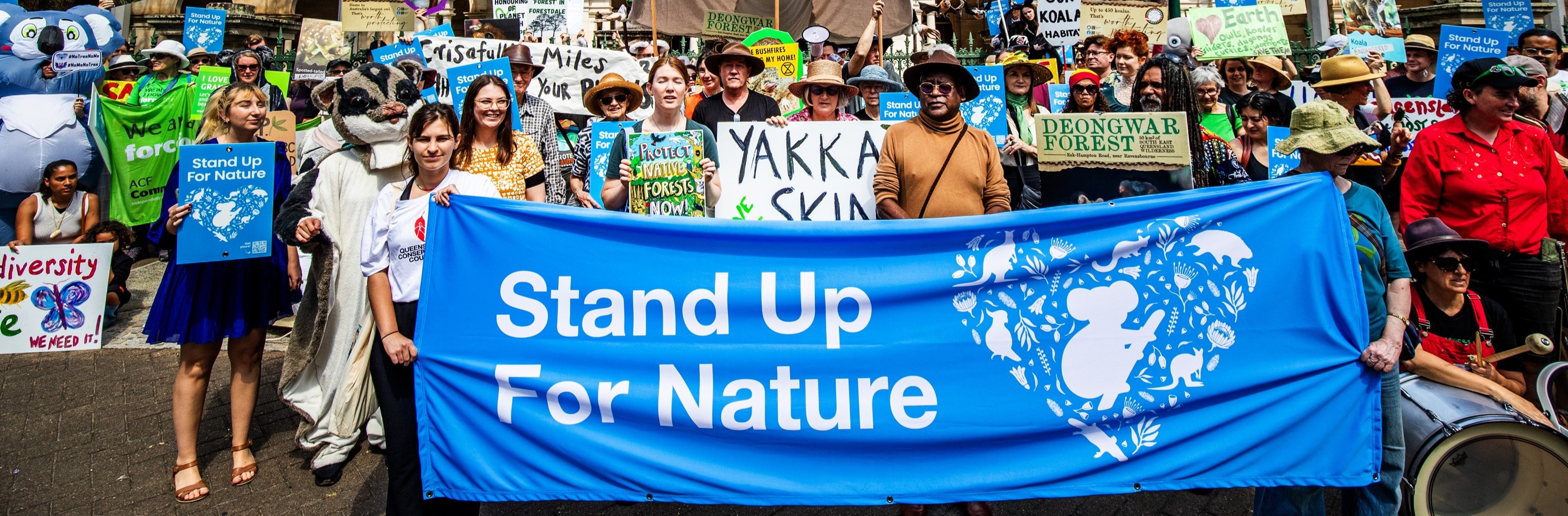 Threatened Species Day march to call for stronger nature laws to protect Queensland's native wildlife and habitats